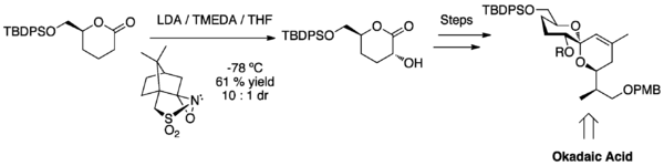 Alpha hydroxylation highlighted in the synthesis of okadaic acid