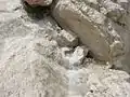 The glacier gives birth to the small stream.