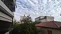 Altocumulus during the day