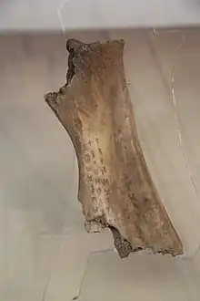 A bone fragment with ancient writing on it.