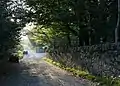 Annamoe