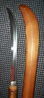 naginata blade and a saya