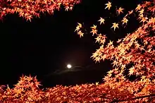 Leaves, Nison-in