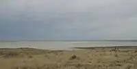 Saline playa within Grulla National Wildlife Refuge