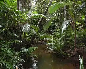 Habitat