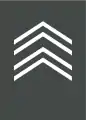 Eerste sergeant(Belgian Land Component)