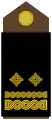 Pukovnik(Croatian Army)