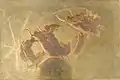Dance of the Hours