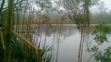 Ashville Bridge Creek in Sigma