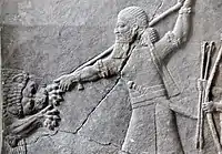 Ashurbanipal II hunts a lion. Bas-relief from his north palace at Nineveh, Iraq. 7th century BC. The Pergamon Museum