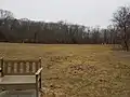 Soccer field
