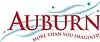 Flag of Auburn