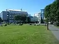Austurvöllur on a sunny day