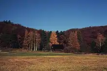 Velvia 100