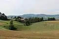 Bačevci - panorama