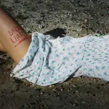 A portrait of Gomez laying on a batch of rocks in a periwinkle babydoll dress embroidered with flowers and butterflies. The song's title is written in red lipstick on her one thigh.