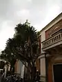 Right side of Cathedral