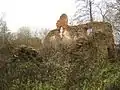 Estate outbuilding in ruins