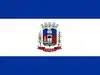 Flag of Cambuí