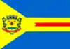 Flag of Ivinhema