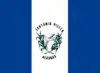 Flag of Teotônio Vilela