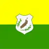 Flag of Serra de Pereiro