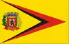 Flag of Braúna
