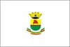 Flag of Município de Caçapava do Sul
