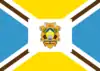 Flag of Igarapé-Miri