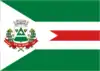Flag of {{{official_name}}}