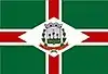 Flag of Murutinga do Sul