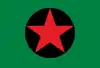 Flag of Ipixuna