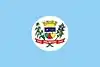 Flag of Palmitos