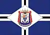 Flag of São João Nepomuceno