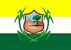 Flag of Timbauba