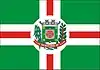 Flag of São Bento Abade