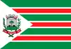 Flag of Rio das Antas