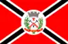 Flag of Salinas