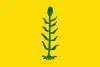Flag of Canyelles