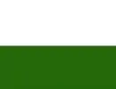 Flag of Caracollo
