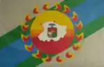Flag of Ciudad de Carora (Carohana City)