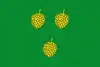 Flag of Pinell de Solsonès