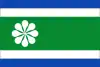 Flag of Villa de Otura