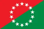 Flag of David