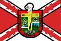 Flag of Third Federal State of Loreto