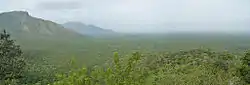 Bannari plains seen from Dhimbam slopes