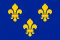 The Royal Banner of France or "Bourbon Flag".