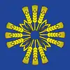 Flag of Barajevo