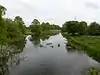 Barnes Meadow