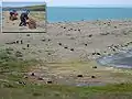 Abandoned Barrels near Lavrentiya